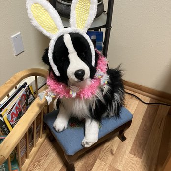 Cascade Foot Care By Nurses - Guardian of the waiting room, decked out in some Easter finery! - Podiatrists Near Me Cascade Foot Care By Nurses - Guardian of the waiting room, decked out in some Easter finery! - Podiatrists Near Me