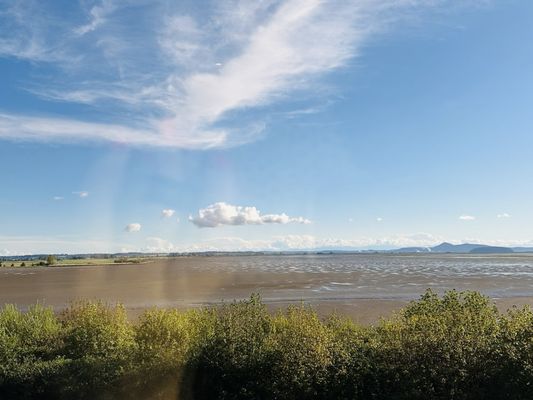 Chuckanut Manor Seafood & Grill by null