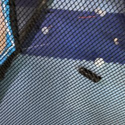 Urban Air Trampoline and Adventure Park