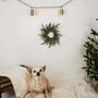 Photo of Pawnail’s Grooming & Kennels