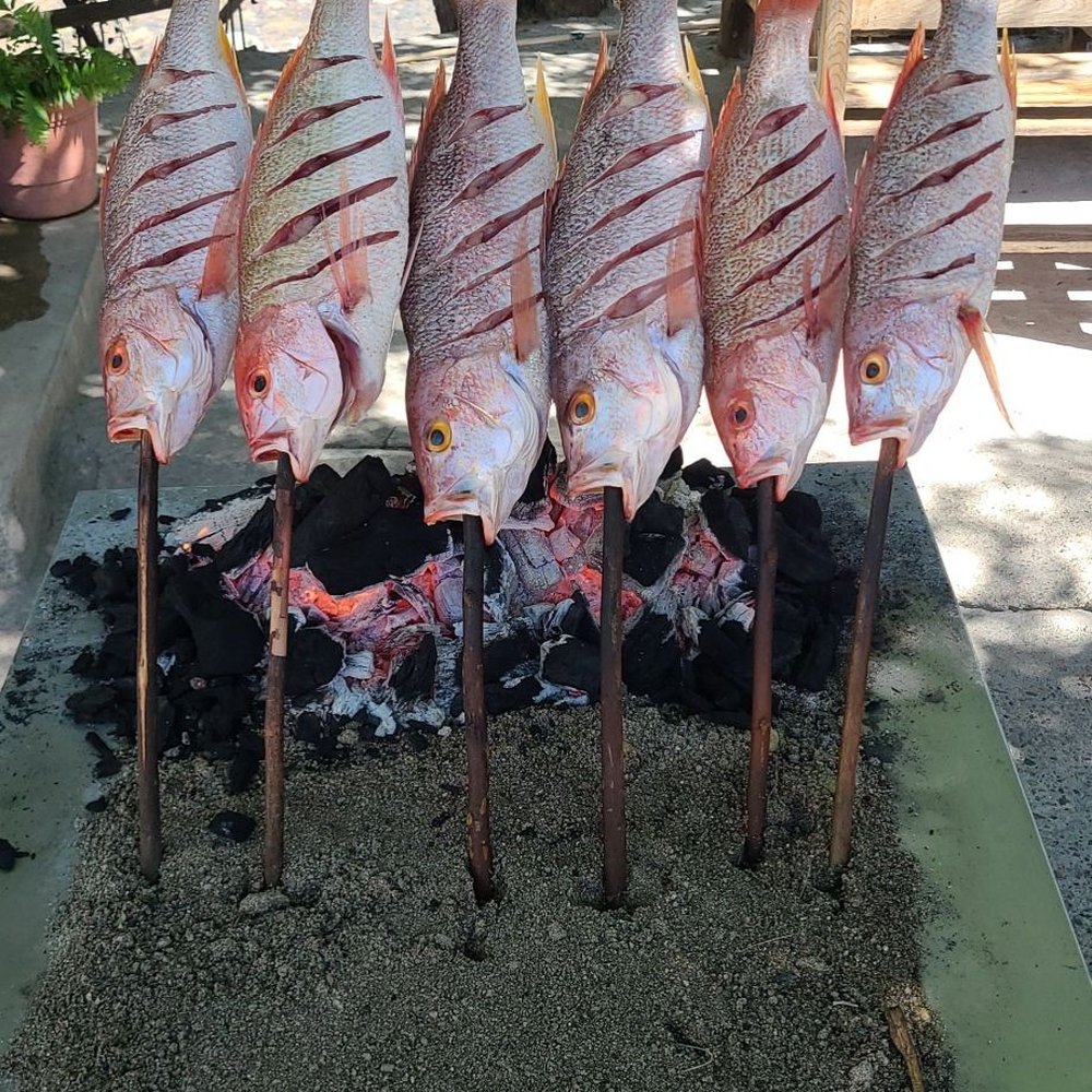 Balam Balam - Seafood Near Me - Puerto Vallarta, JAL Balam Balam - Seafood Near Me - Puerto Vallarta, JAL