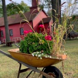 Posie Patch Florist & Gifts