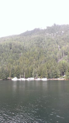 KWATSI BAY MARINA - Updated June 2026 - 10 Photos - Simoom Sound ...