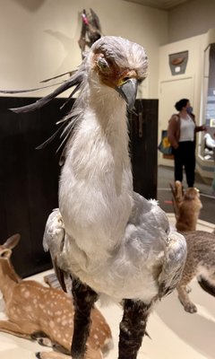 Adirondack Experience, The Museum on Blue Mountain Lake by null