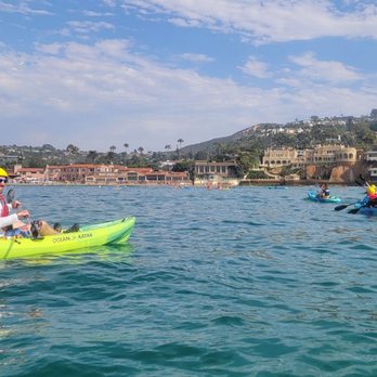 La Jolla Kayak - Your group and all groups are color coded. Won't get lost - Tours Near Me - La Jolla, California