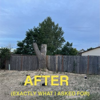 King Tree Service - After removal (exactly what I requested) - Tree Services Near Me - Colorado Springs, Colorado King Tree Service - After removal (exactly what I requested) - Tree Services Near Me - Colorado Springs, Colorado