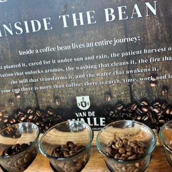 Van De Walle - nice lesson - Coffee & Tea Near Me - Haines City, Florida Van De Walle - nice lesson - Coffee & Tea Near Me - Haines City, Florida