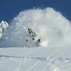 Sled Shed - Snowboarding