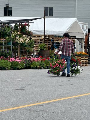 WNC Farmers Market by null