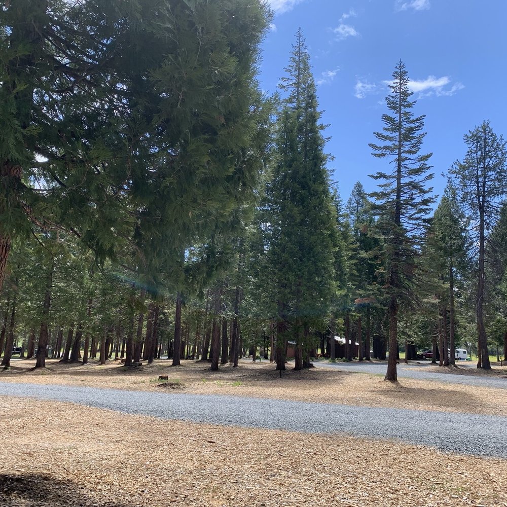 Robbs Resort - Campgrounds Near Me - Pollock Pines, California Robbs Resort - Campgrounds Near Me - Pollock Pines, California