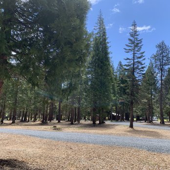 Robbs Resort - Campgrounds Near Me - Pollock Pines, California Robbs Resort - Campgrounds Near Me - Pollock Pines, California