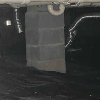 Terminix - Supposed to be where the dryer connected - Pest Control Near Me - Atlanta, Georgia