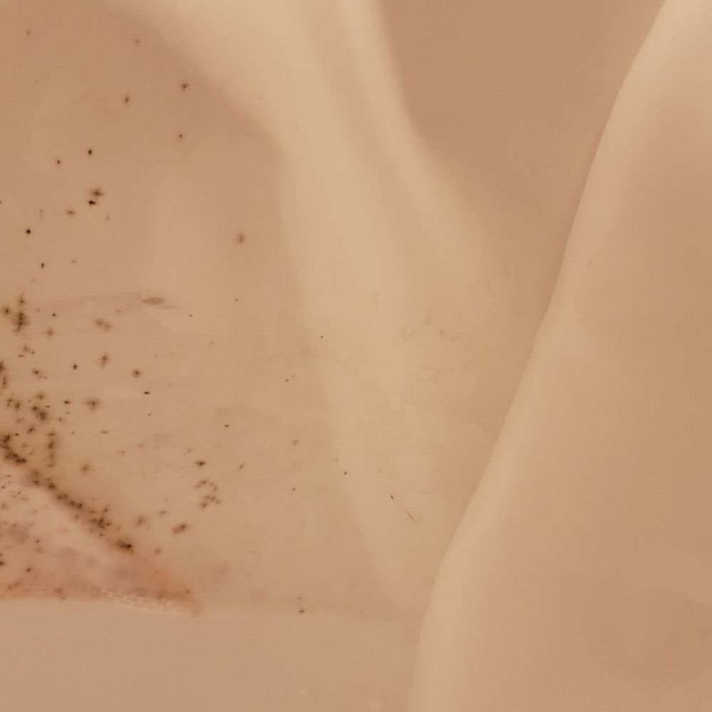 The Point Hotel & Suites - I'm not fond of bathing with a moldy shower curtain swaying at me. - Hotels Near Me - Orlando, Florida