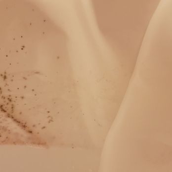 The Point Hotel & Suites - I'm not fond of bathing with a moldy shower curtain swaying at me. - Hotels Near Me - Orlando, Florida The Point Hotel & Suites - I'm not fond of bathing with a moldy shower curtain swaying at me. - Hotels Near Me - Orlando, Florida