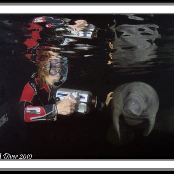 Bird's Underwater - Captan and guide Chris - Diving Near Me - Crystal River, Florida