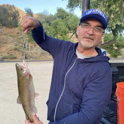 Bobs Bait Bucket - I caught this 5 pd. Brown trout Kernville river