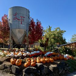 Lee Farms - Signage