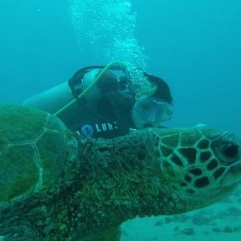 Maui Diving - Hey check it! Me and a honu. - Scuba Diving Near Me - Lahaina, Hawaii Maui Diving - Hey check it! Me and a honu. - Scuba Diving Near Me - Lahaina, Hawaii