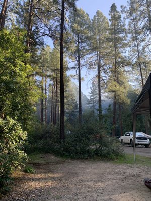 Cave Springs Campground by null