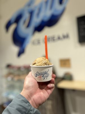 Scoops On Tap by null