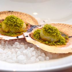 The Black Toro - The black Toro Hervey Bay Scallops