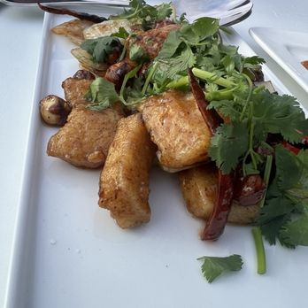 Roppongi Asian Bistro - Calamari - Asian Fusion Near Me - Imperial Beach, California Roppongi Asian Bistro - Calamari - Asian Fusion Near Me - Imperial Beach, California