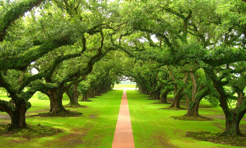 Family and Freedom Preservation - veterans service organization in Portland, OR