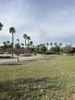 Central Park by null