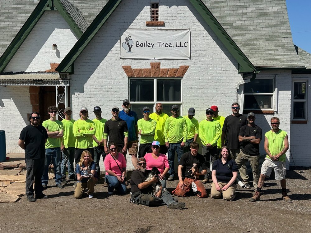 Bailey Tree - tree service in Englewood, CO
