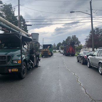 All Island Tree Service - Tree Services Near Me - Freeport, New York All Island Tree Service - Tree Services Near Me - Freeport, New York