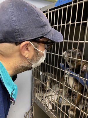 PAWS Atlanta by null