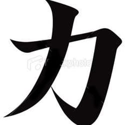 Riki Dojo USA - The Japanese kanji character for strength or power.