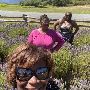 Pelindaba Lavender - Field of Lavender - Gift Shops Near Me - Friday Harbor, Washington