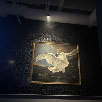 Swan Dive - Wall art - Dance Clubs Near Me - Las Vegas, Nevada Swan Dive - Wall art - Dance Clubs Near Me - Las Vegas, Nevada