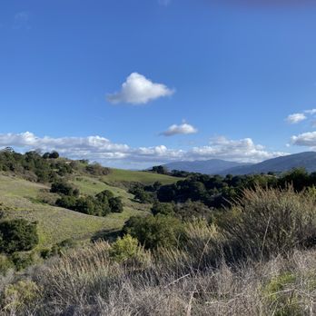 Stevens Creek County Park - Parks Near Me - Cupertino, California Stevens Creek County Park - Parks Near Me - Cupertino, California