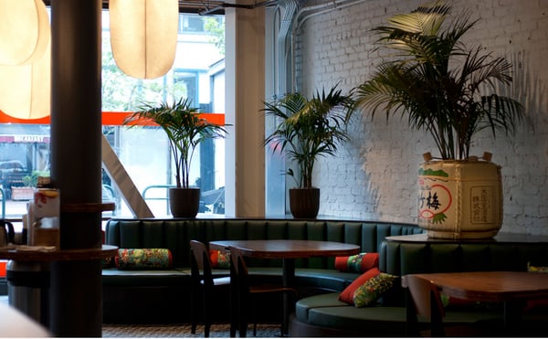 David Rio Chai Bar by null