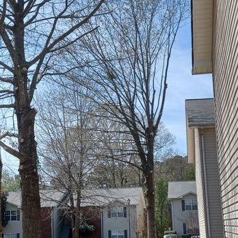 Cutts Tree Services - Trimming and Pruning - Tree Services Near Me