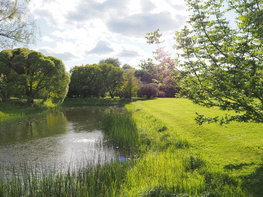 Tropical Greenhouse by null