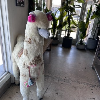 Flama Llama - Visit April 2026: Kuzco? Is that you? - Latin American Near Me - San Diego, California Flama Llama - Visit April 2026: Kuzco? Is that you? - Latin American Near Me - San Diego, California