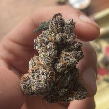 Asap Buds - Cannabis Dispensaries Near Me - Portland, Oregon Asap Buds - Cannabis Dispensaries Near Me - Portland, Oregon