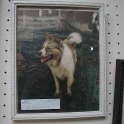 Yours Mine & Ours Antiques - An antique framed DOG photo.