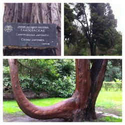 Jardín Botánico de Viña del Mar