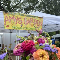 Amy's Garden