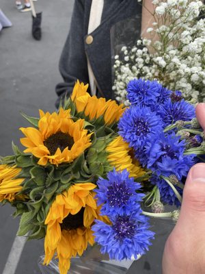 Willow Glen Farmers' Market by null
