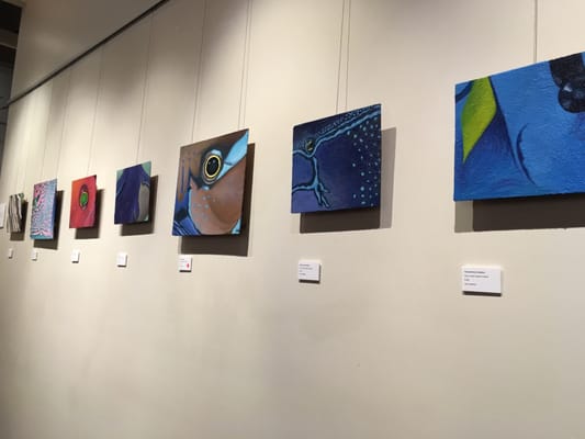 Vivo Palm Cove by null