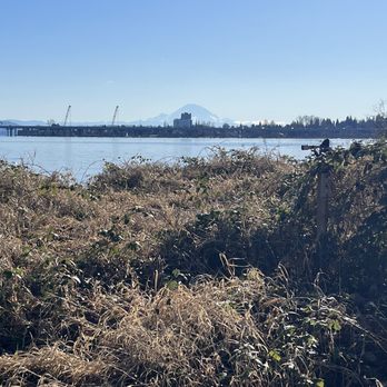 Union Bay Natural Area - Across the lake from the arboretum, Rainier on a sunny day - Parks Near Me - Seattle, Washington Union Bay Natural Area - Across the lake from the arboretum, Rainier on a sunny day - Parks Near Me - Seattle, Washington