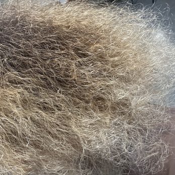 Blonde Blond - Bronze! Before - Hair Salons Near Me - West Hollywood, California Blonde Blond - Bronze! Before - Hair Salons Near Me - West Hollywood, California