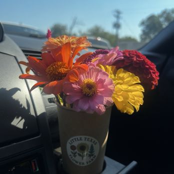 Georgetown Market Day - Community Service/Non-Profit Near Me - Georgetown, Texas Georgetown Market Day - Community Service/Non-Profit Near Me - Georgetown, Texas