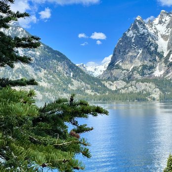 Jenny Lake - View from trail - Lakes Near Me