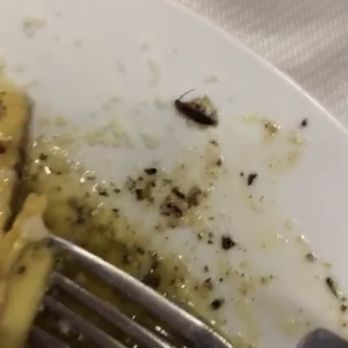 Il Padellaccio 2 - Italian Near Me - Rome, RM